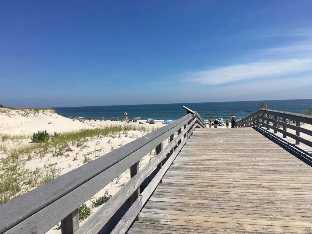 A wooden dune crossing leading over grassy dunes to a busy guarded beach at Island Beach State Park