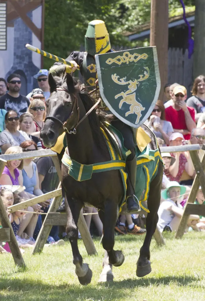 A knight in a green and yellow tabard with a stag on his shield charging on a black horse past a crowd behind a wooden fence